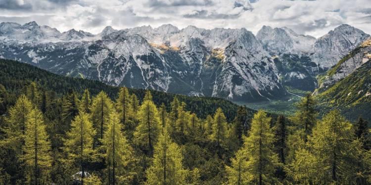 sh009-vd1_wild_dolomites_web.jpg