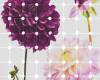 6006a-vd2_flowers_and_dots_web.jpg