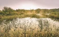 Stefan Hefele Paradise Morning